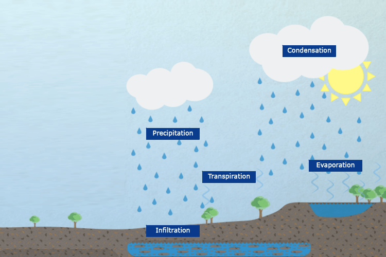 Water cycle
