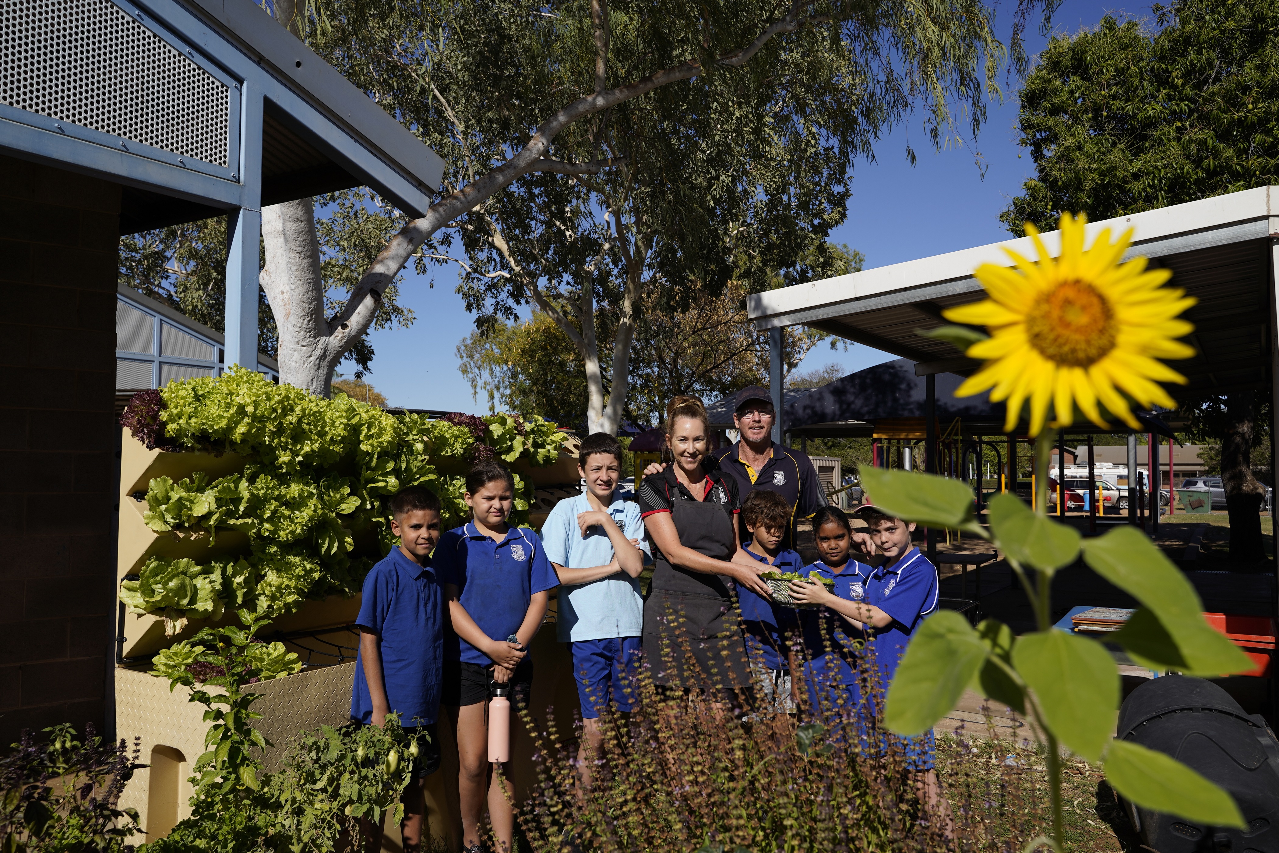 Kununurra Hydroponics garden