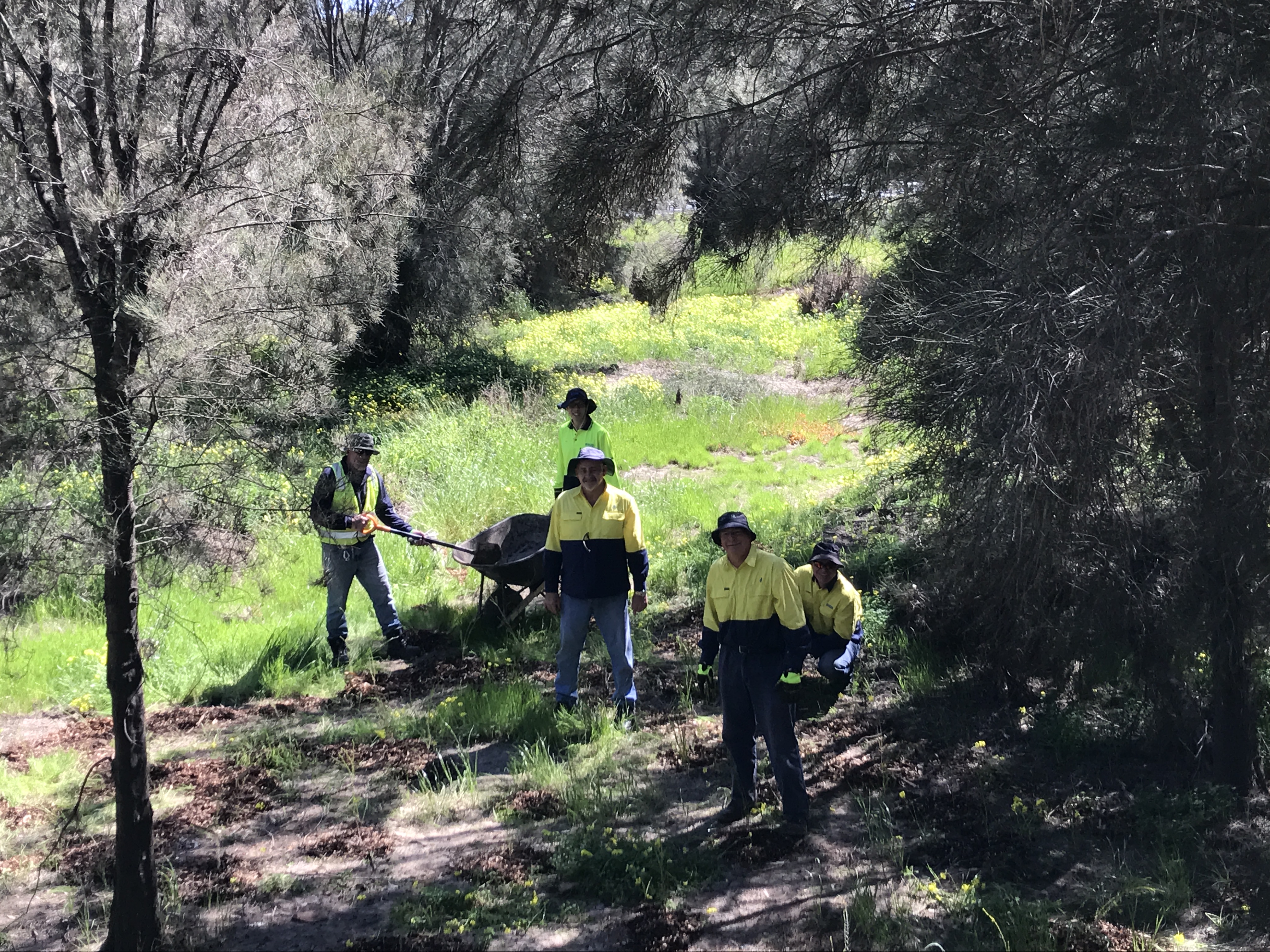 Water Corporation employees volunteering in Northam