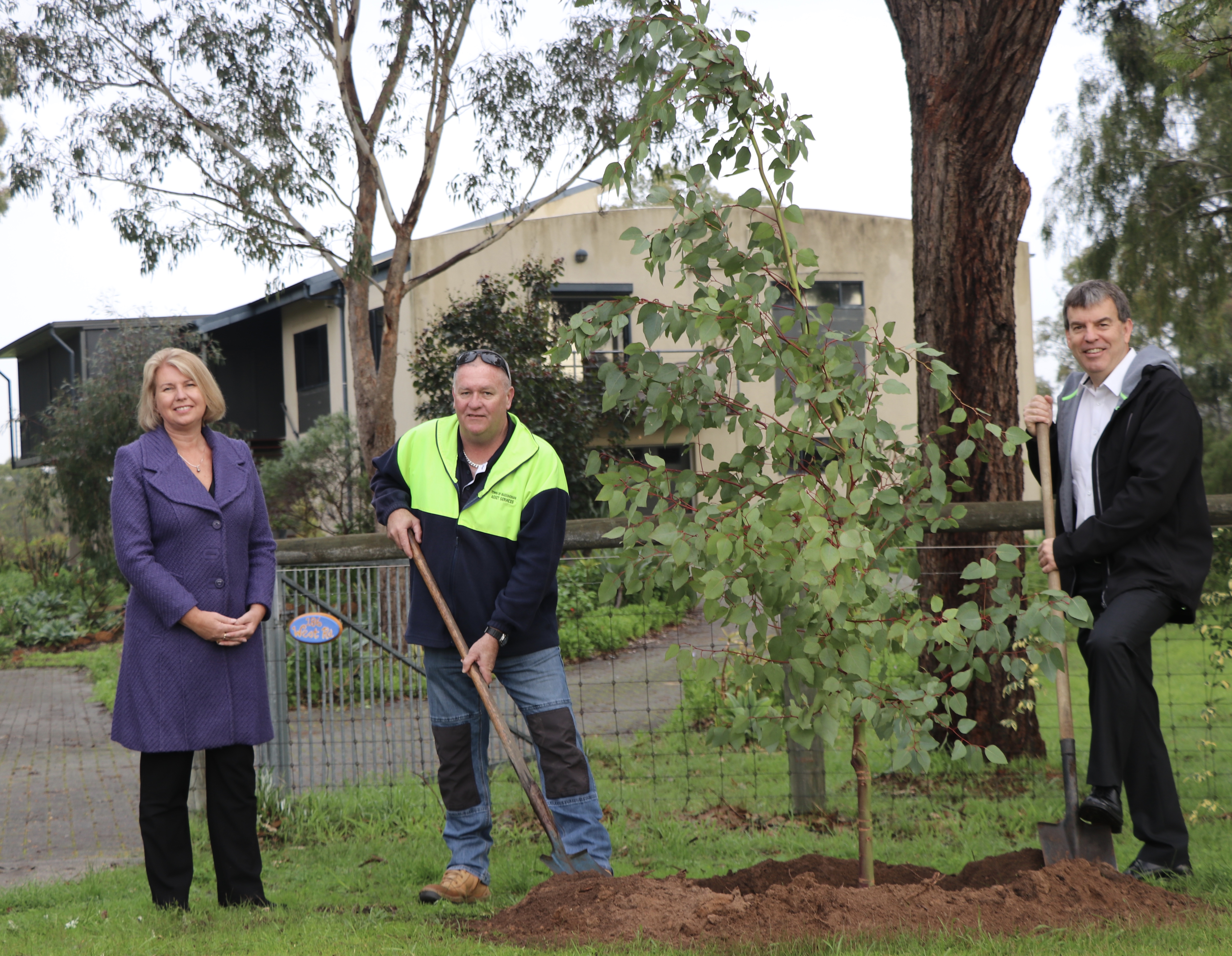 Expanded verge rebate scheme July 2019