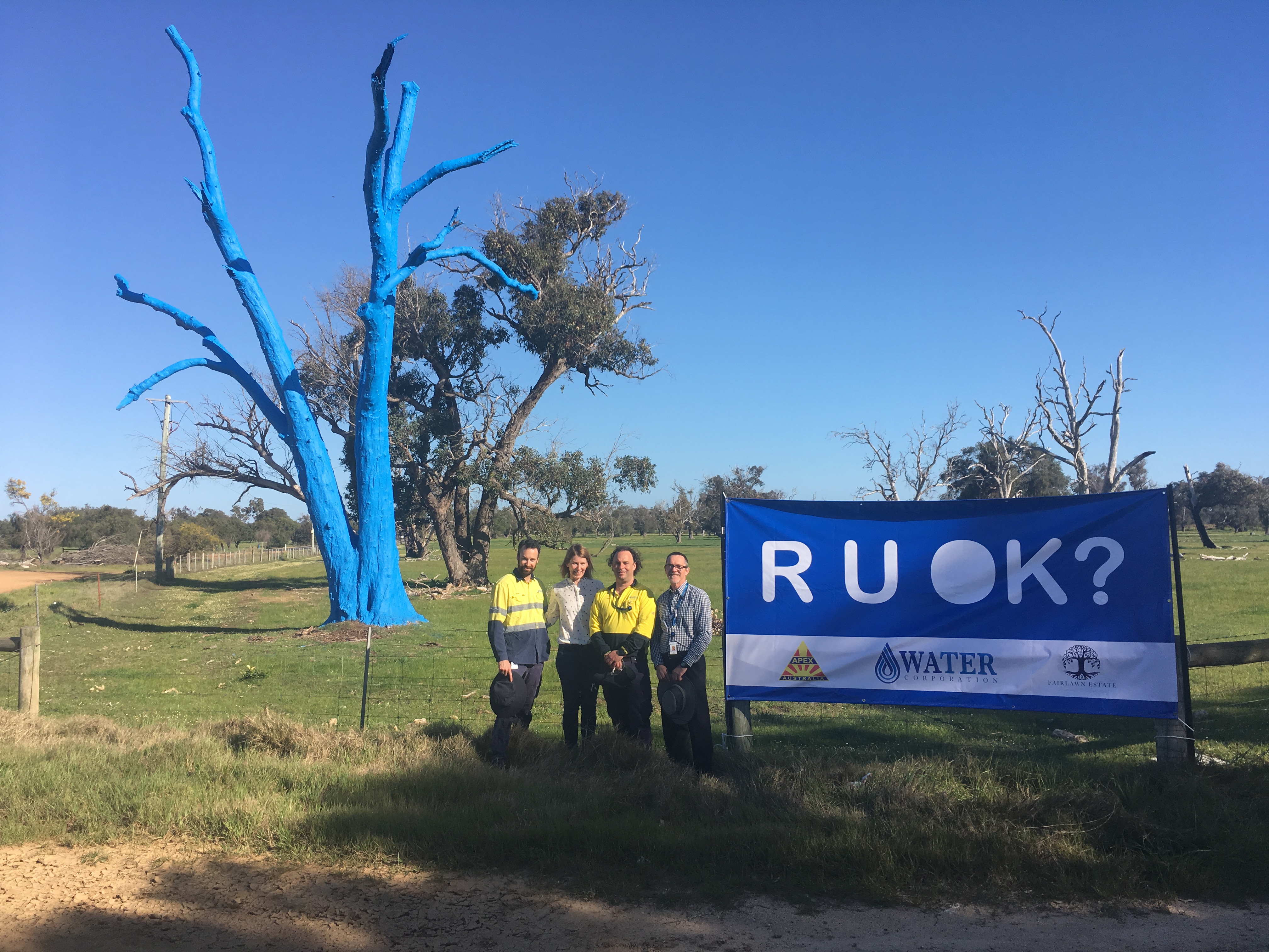 Blue tree Project Busselton - September 2019